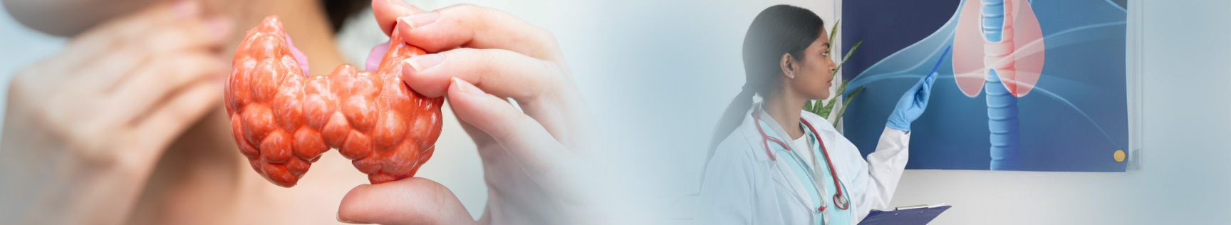 banner img
