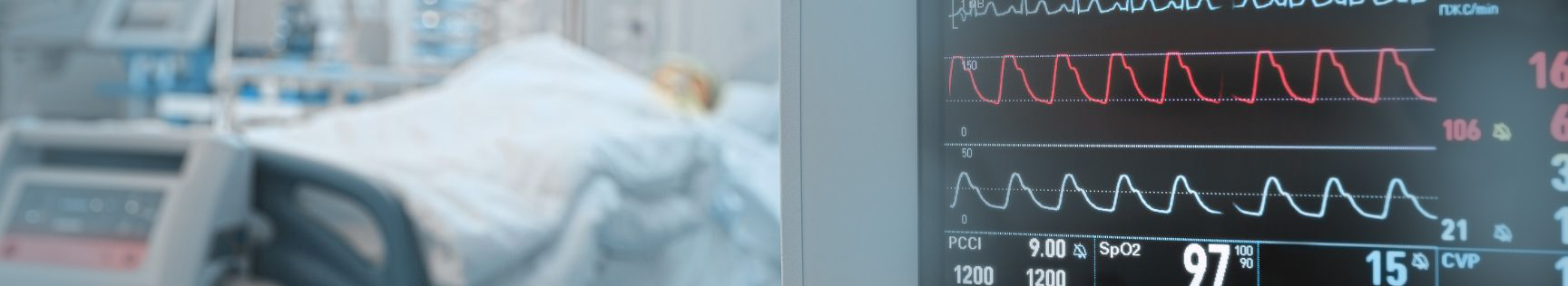 banner img