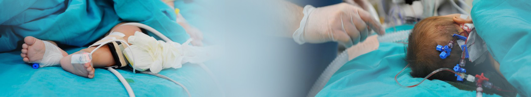 banner img