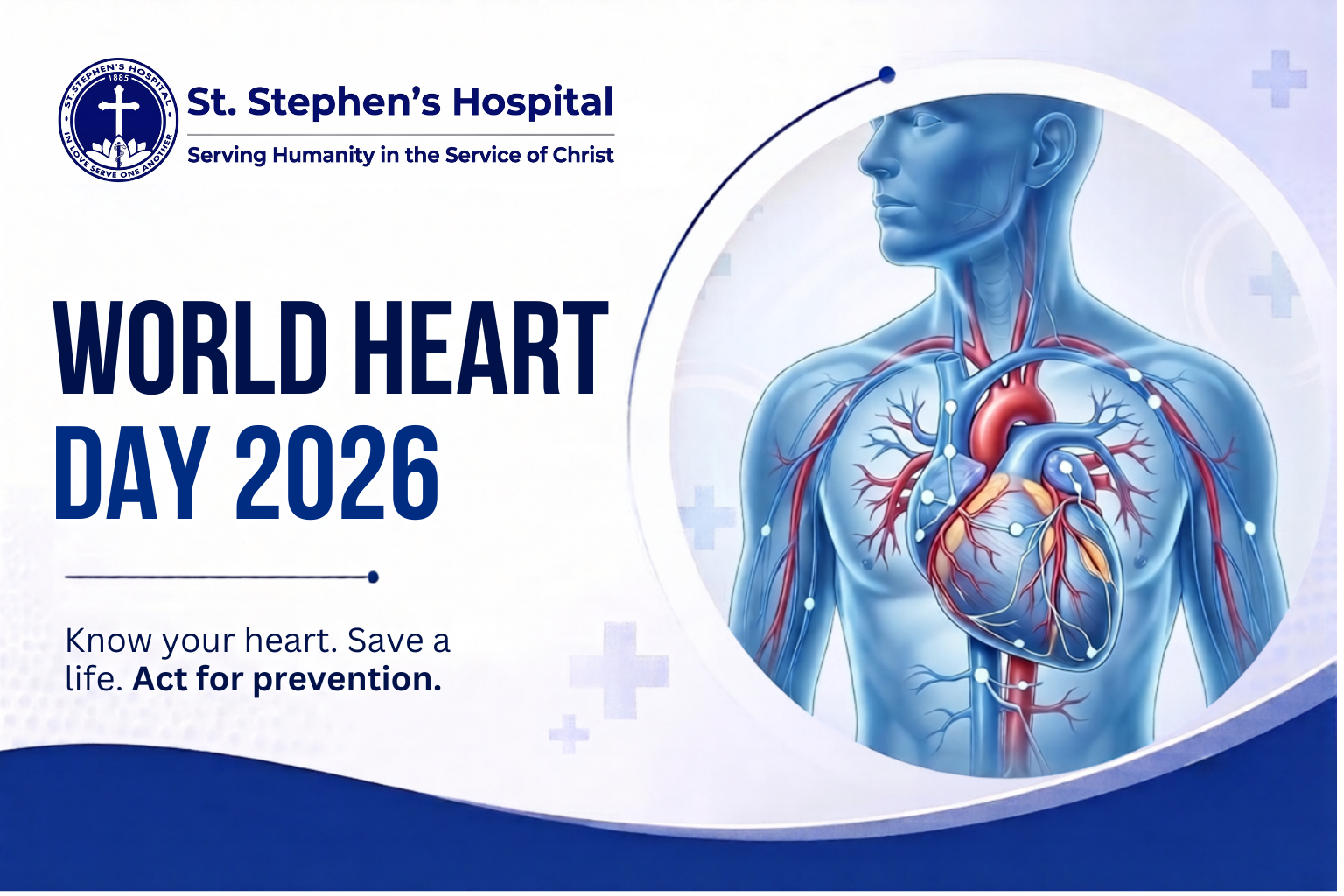 World Heart Day 2026: Understanding the Difference Between a Heart Attack and Cardiac Arrest