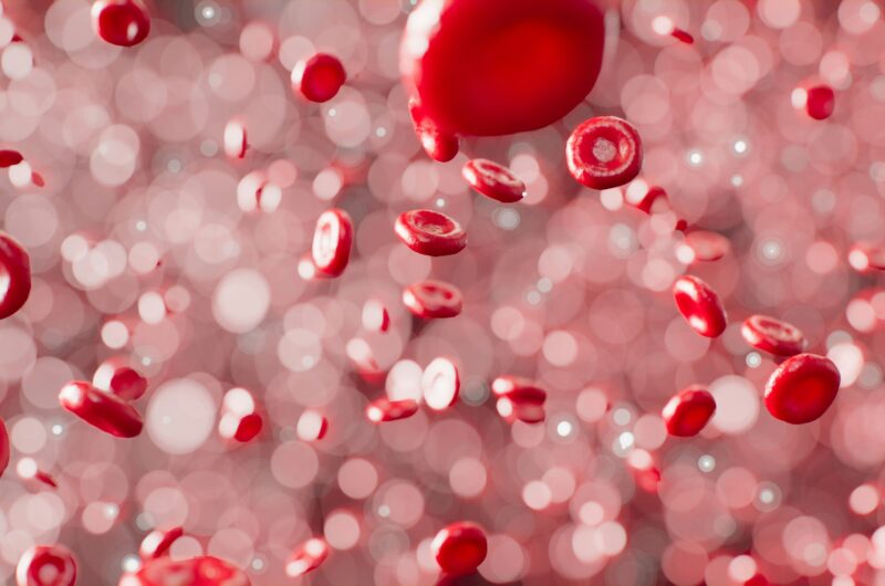Understanding Anaemia: Symptoms, Causes, and Why Women Are Most at Risk