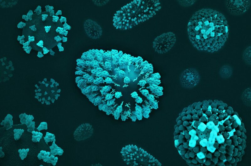 Why Fungal Infections Keep Coming Back (And How to Cure Them for Good)