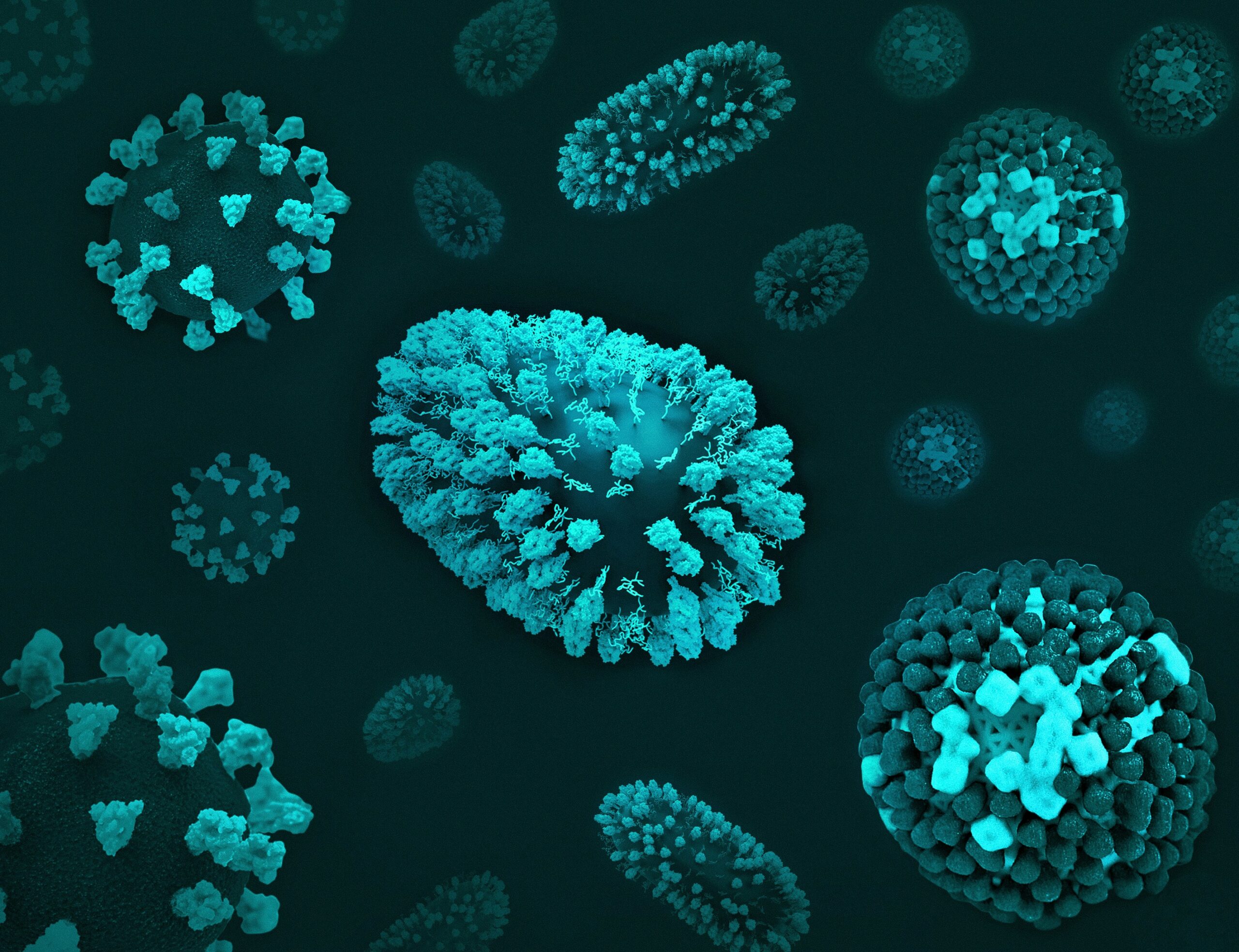Why Fungal Infections Keep Coming Back (And How to Cure Them for Good)